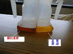 zM3yU6XDOz.png zM3yU6XDOz.png